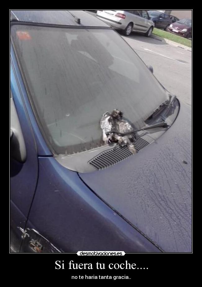 Si fuera tu coche.... - no te haria tanta gracia..