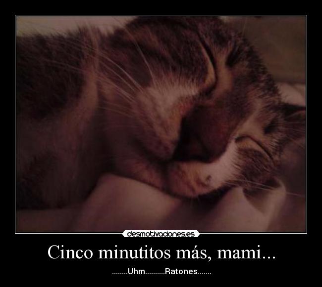 Cinco minutitos más, mami... - 