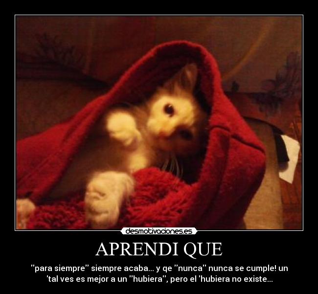 APRENDI QUE - para siempre siempre acaba... y qe nunca nunca se cumple! un
tal ves es mejor a un hubiera, pero el hubiera no existe...