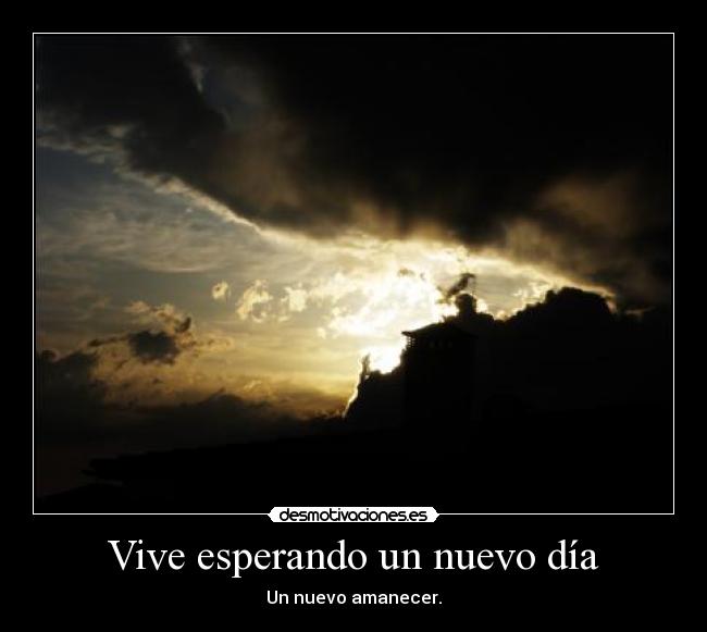 carteles pantera11 desmotivaciones