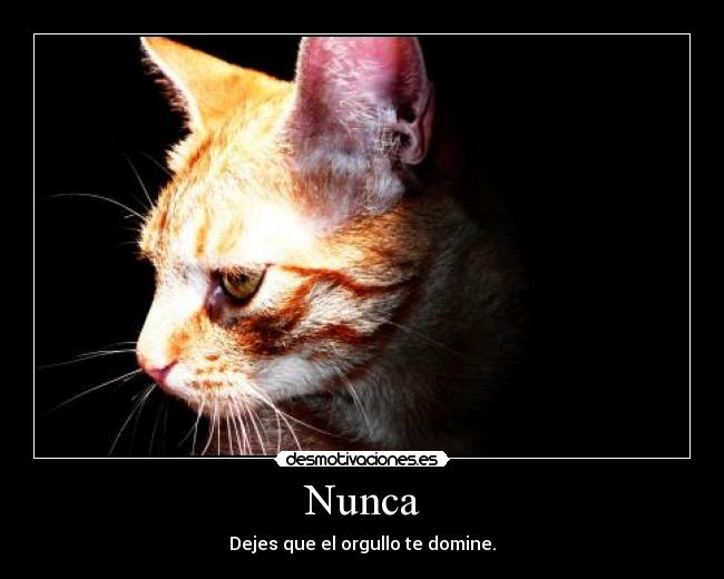 Nunca - Dejes que el orgullo te domine.