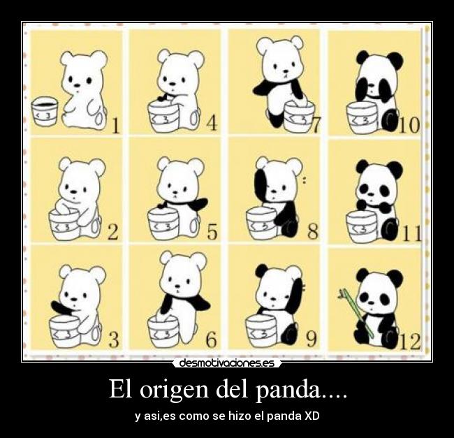 El origen del panda.... - 