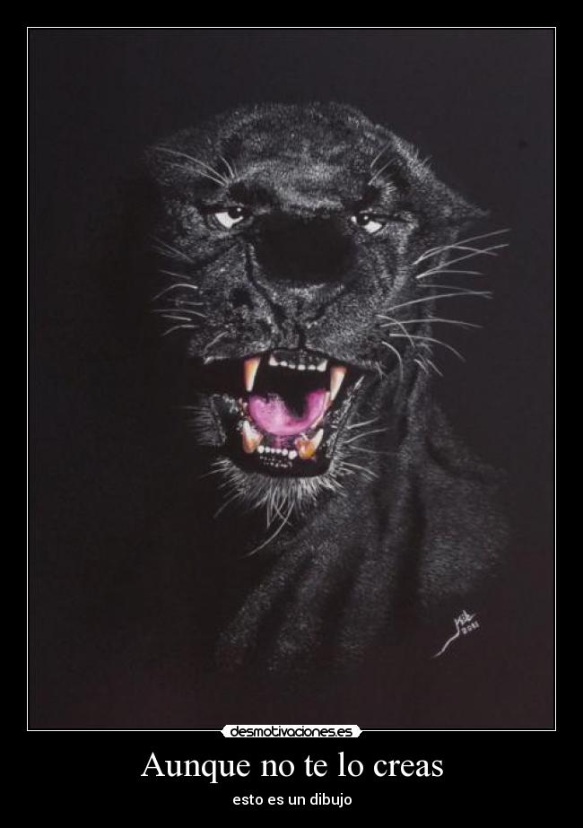 Aunque no te lo creas - 