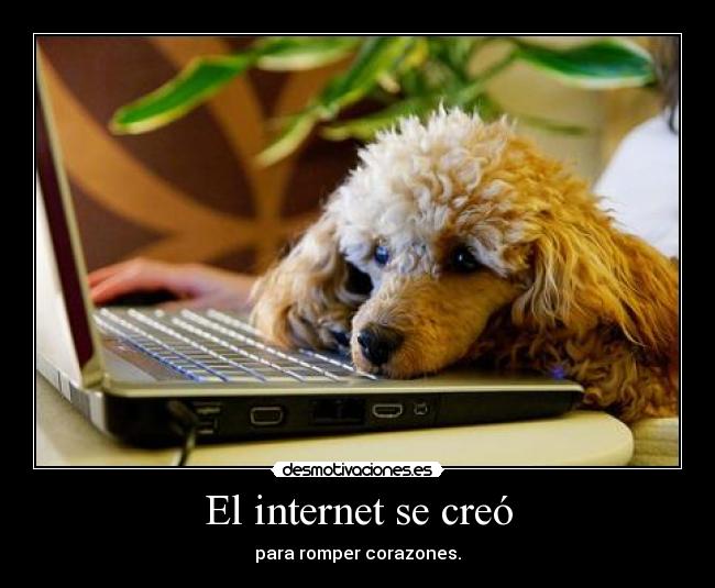 El internet se creó - 