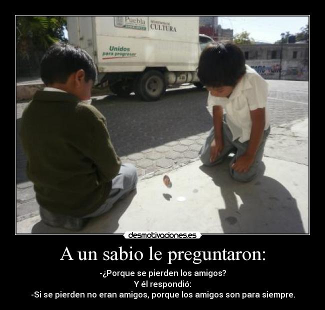 carteles sabio amigos desmotivaciones