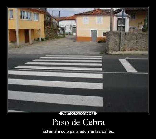 Paso de Cebra - Están ahí solo para adornar las calles.