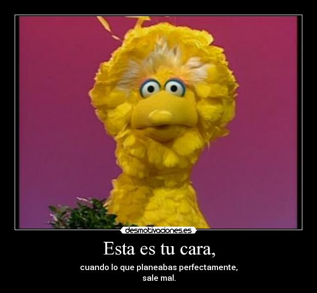 Esta es tu cara, - cuando lo que planeabas perfectamente,
sale mal.