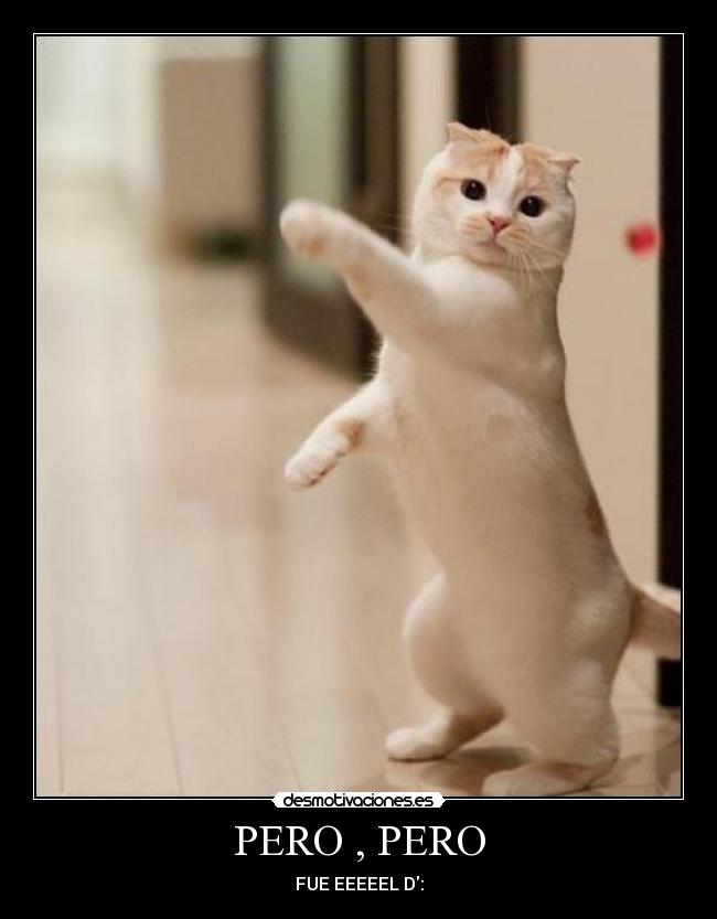 PERO , PERO - FUE EEEEEL D: