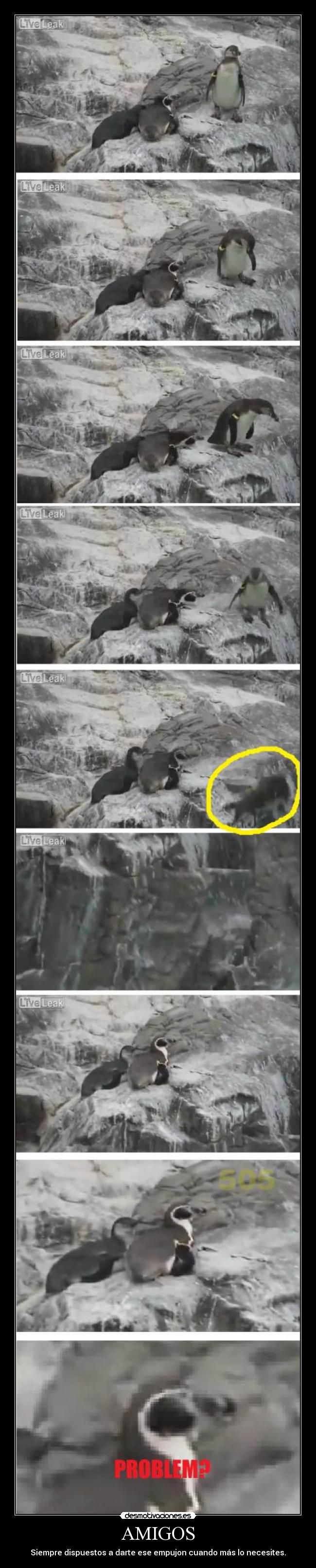 AMIGOS - Siempre dispuestos a darte ese empujon cuando más lo necesites.