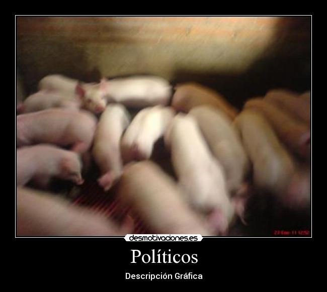 Políticos - Descripción Gráfica