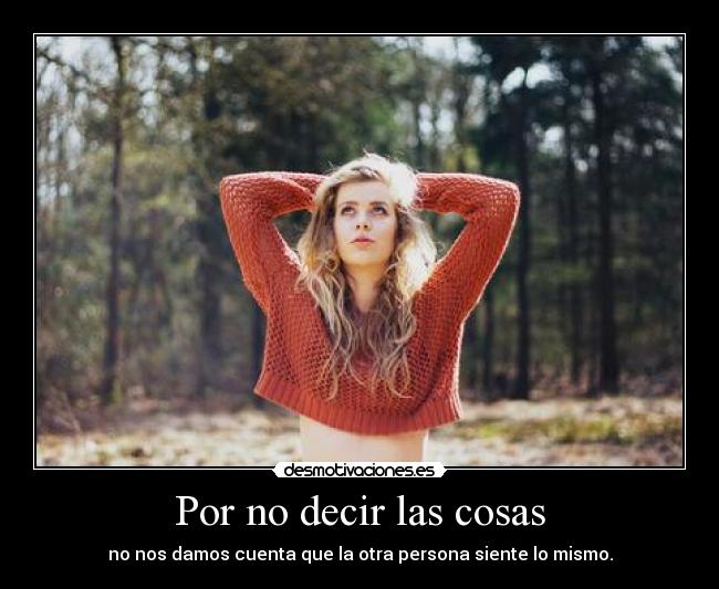 Por no decir las cosas - 
