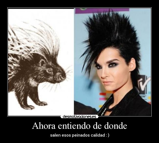 Ahora entiendo de donde - salen esos peinados calidad : )