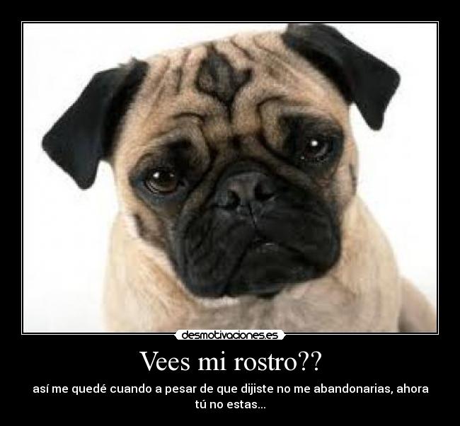 Vees mi rostro?? - así me quedé cuando a pesar de que dijiste no me abandonarias, ahora tú no estas...