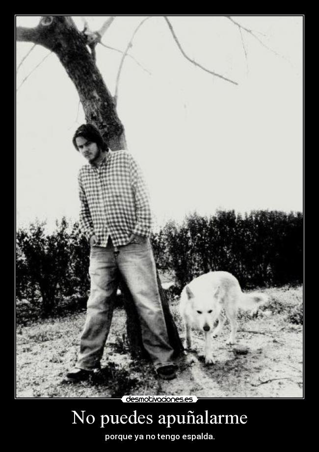 carteles desmotivaciones