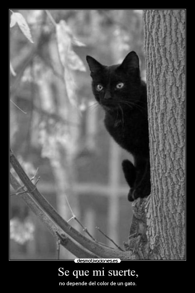 Se que mi suerte, -