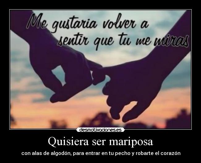 Quisiera ser mariposa - 