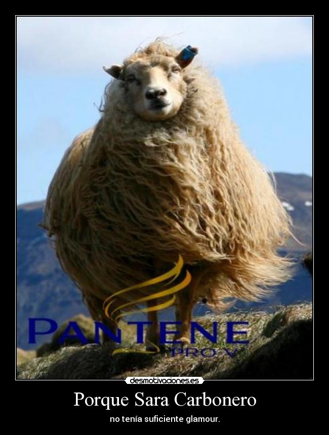 Porque Sara Carbonero - no tenía suficiente glamour.