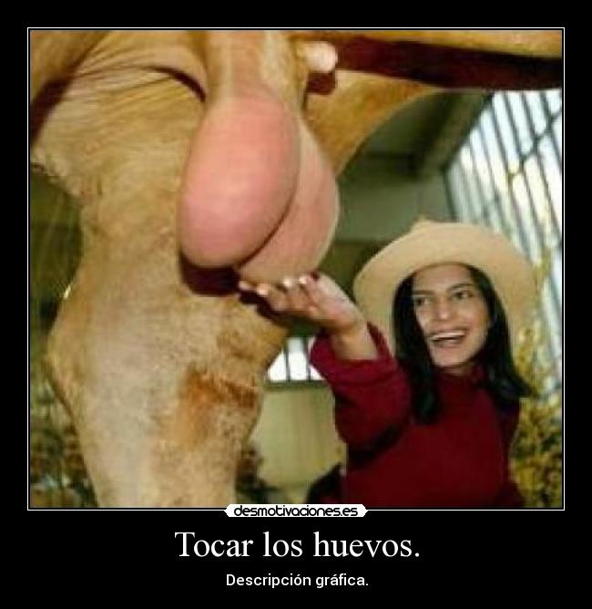 Tocar los huevos. - Descripción gráfica.