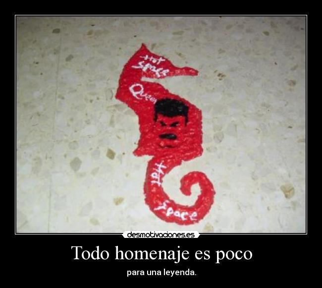 Todo homenaje es poco - 