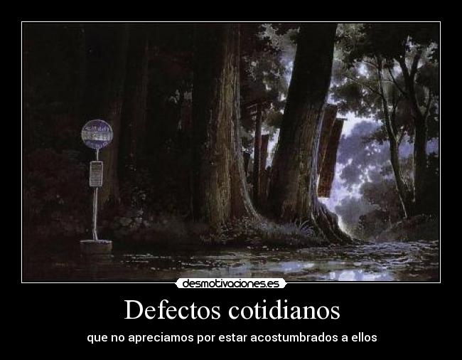 Defectos cotidianos - que no apreciamos por estar acostumbrados a ellos