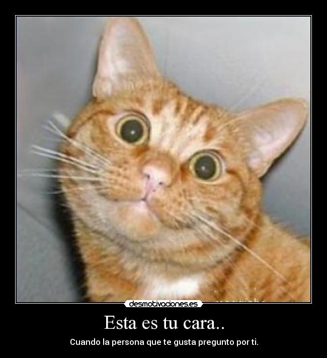 Esta es tu cara.. - Cuando la persona que te gusta pregunto por ti.