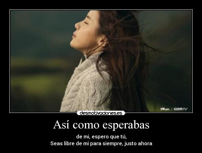 Así como esperabas - de mi, espero que tú,
Seas libre de mi para siempre, justo ahora