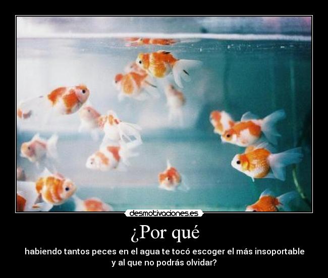 ¿Por qué - habiendo tantos peces en el agua te tocó escoger el más insoportable
y al que no podrás olvidar?