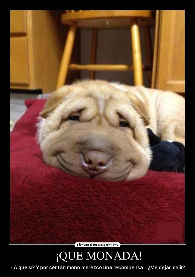 ¡QUE MONADA! - 