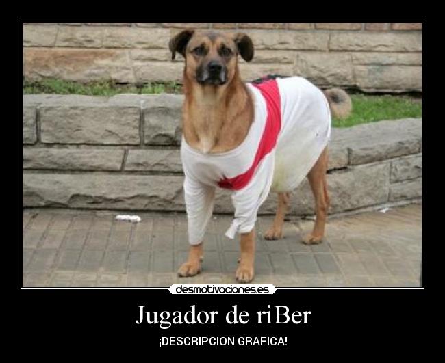 Jugador de riBer - ¡DESCRIPCION GRAFICA!