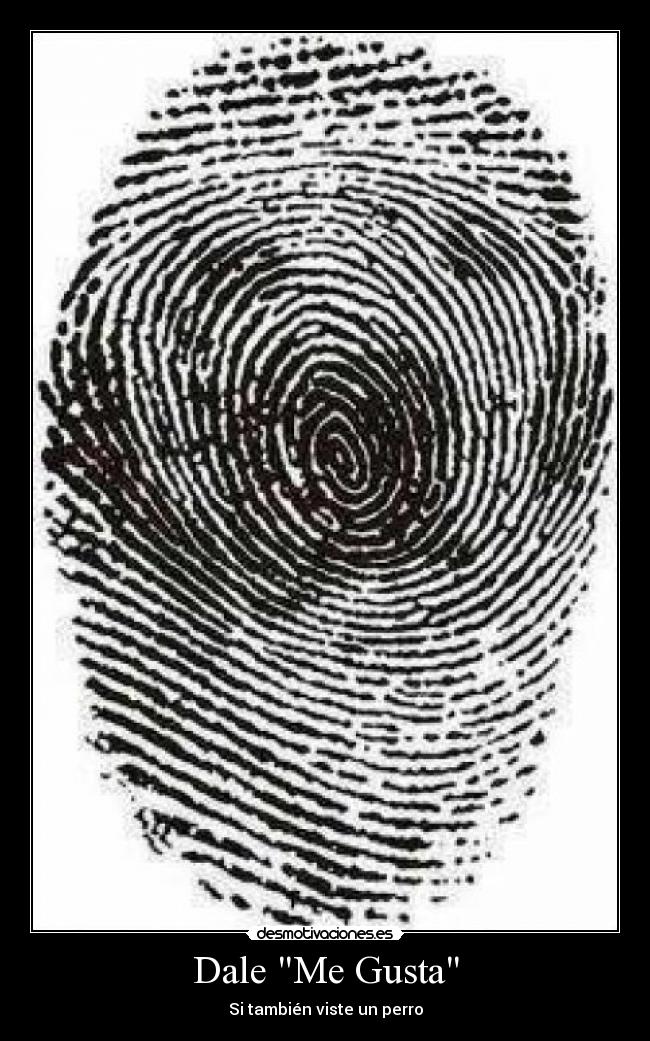 carteles walterpk93 desmotivaciones