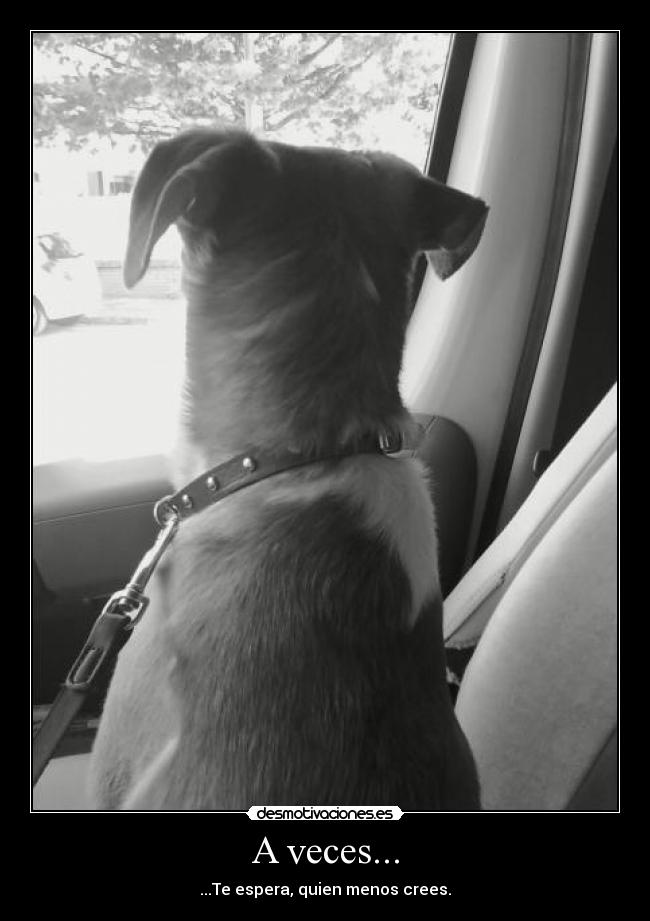 A veces... - ...Te espera, quien menos crees.