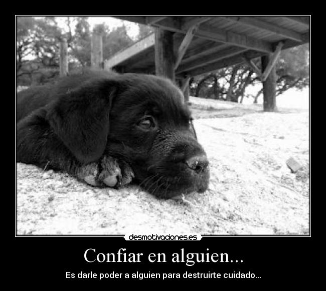 Confiar en alguien... - Es darle poder a alguien para destruirte cuidado...