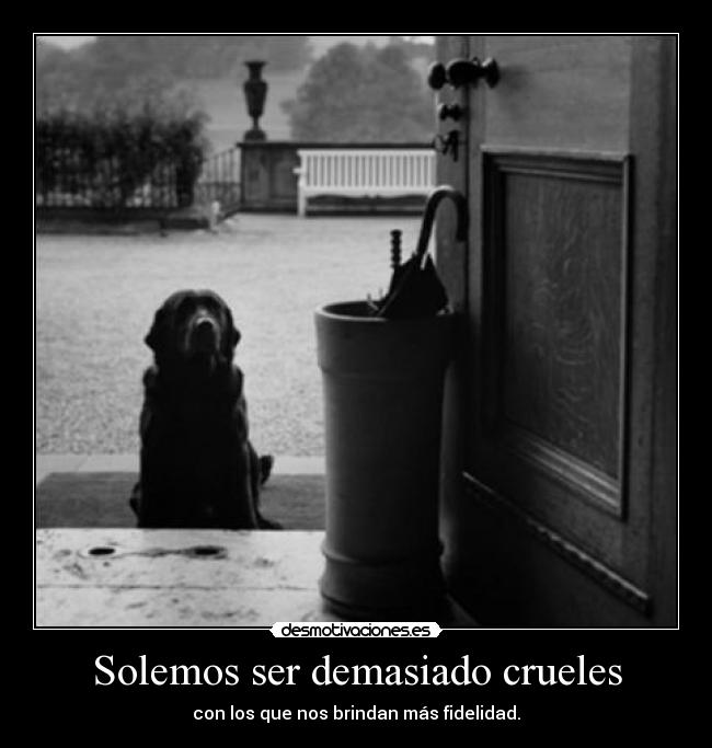 carteles algo que jamas entendere seven desmotivaciones