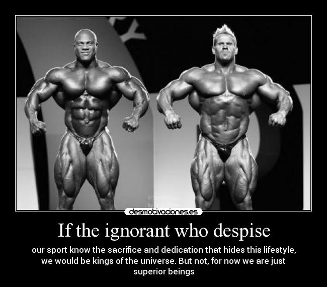 If the ignorant who despise -