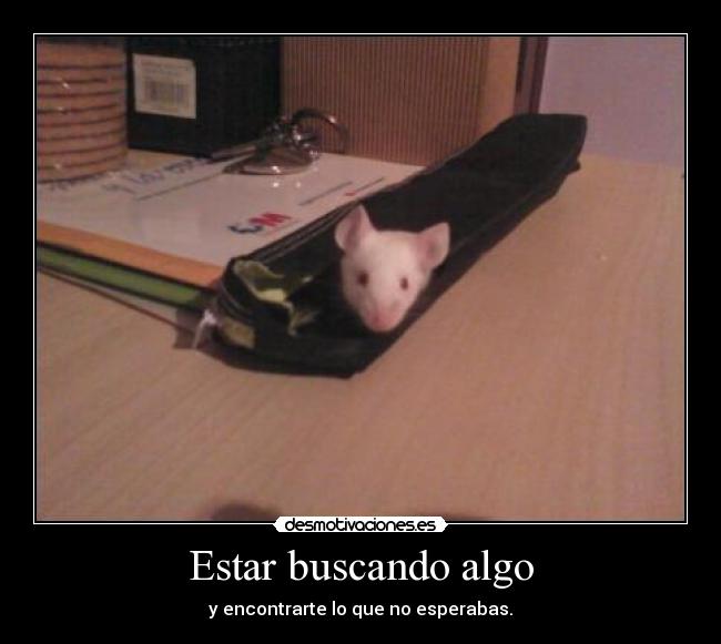 Estar buscando algo - 