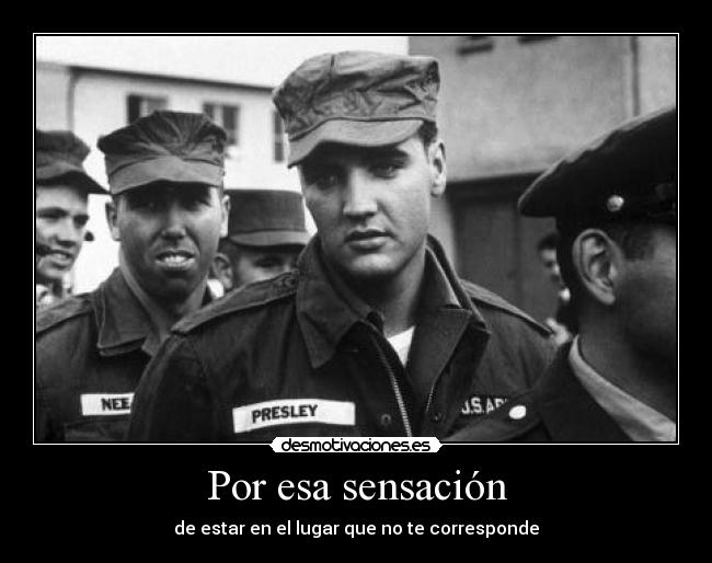 carteles presley desmotivaciones