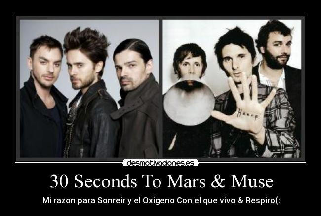 carteles musersyechelon desmotivaciones