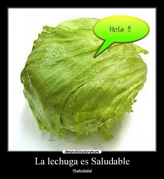 La lechuga es Saludable -