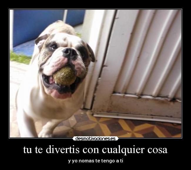 tu te divertis con cualquier cosa -