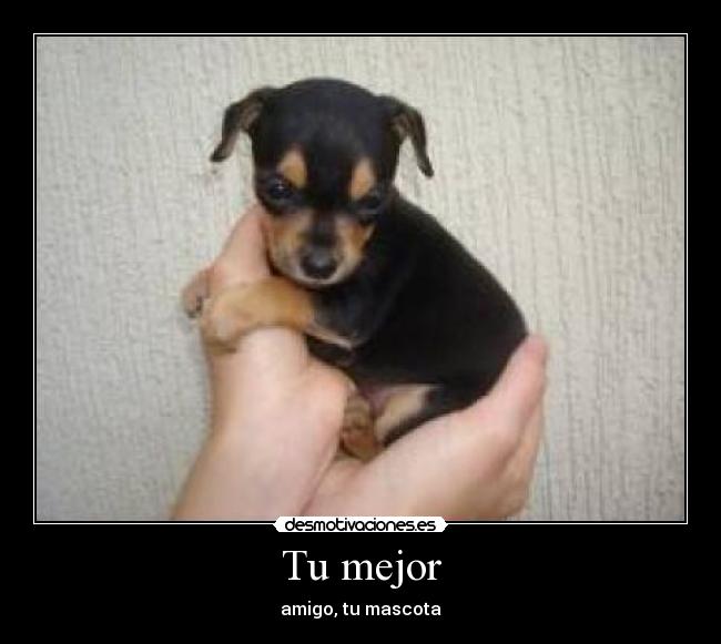 carteles duartex desmotivaciones