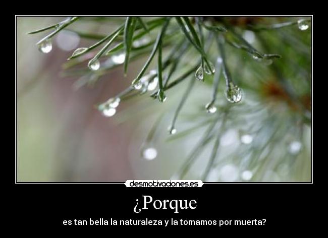 ¿Porque - 
