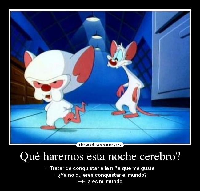 Qué haremos esta noche cerebro? - —Tratar de conquistar a la niña que me gusta
—¿Ya no quieres conquistar el mundo?
—Ella es mi mundo♥