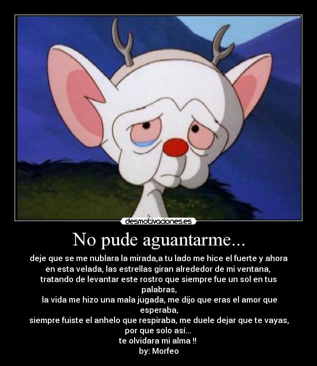 No pude aguantarme... -