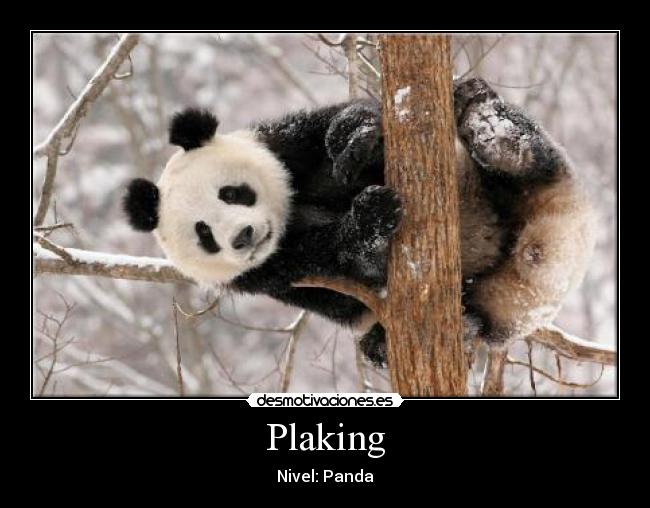 Plaking - Nivel: Panda