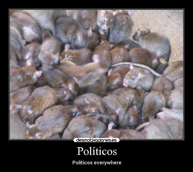 Políticos -