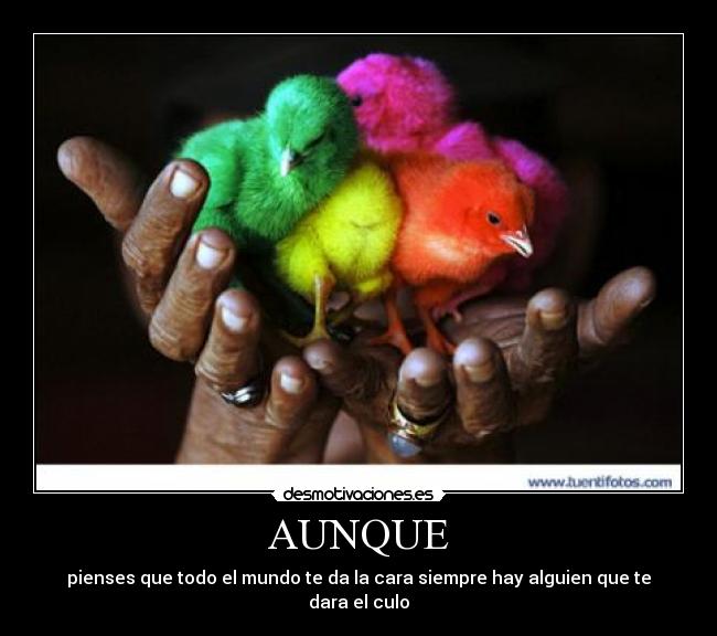 carteles finajumilla desmotivaciones