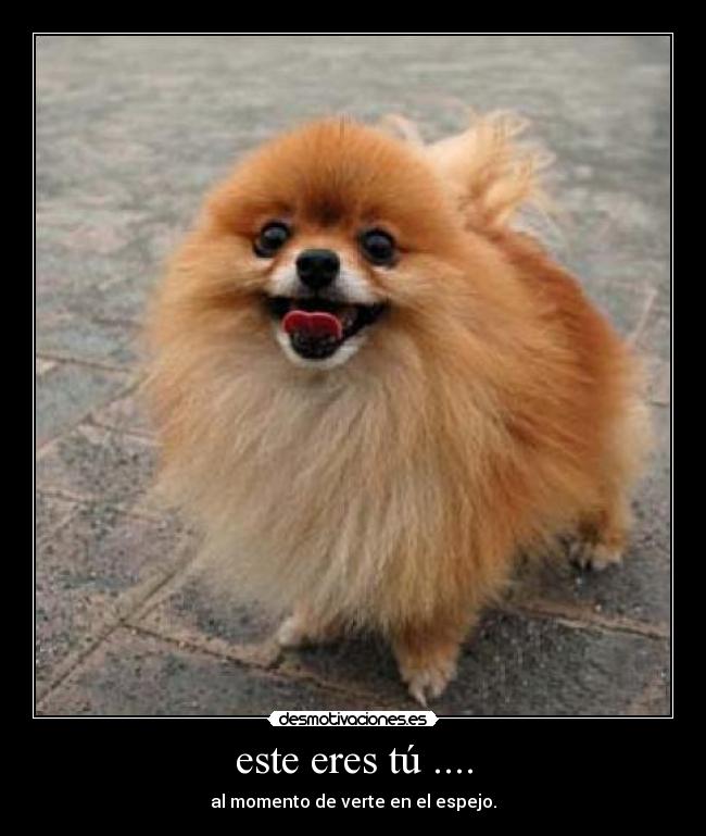 carteles joseph desmotivaciones