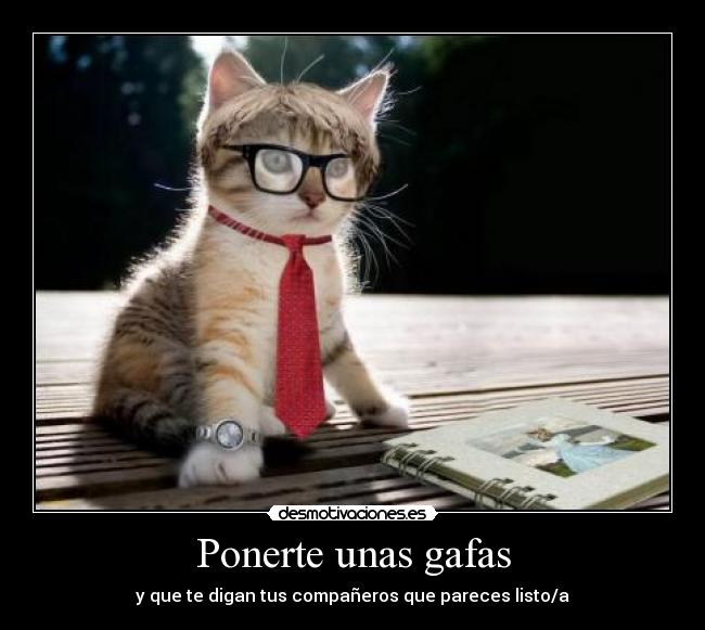 Ponerte unas gafas -