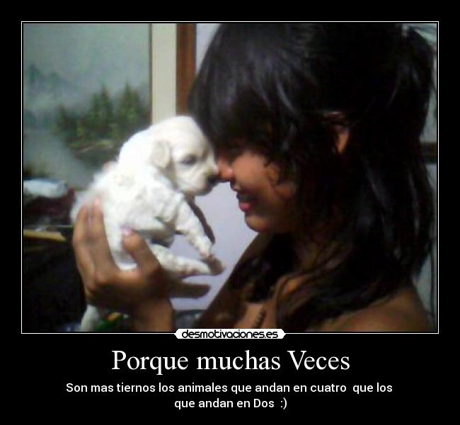 Porque muchas Veces -