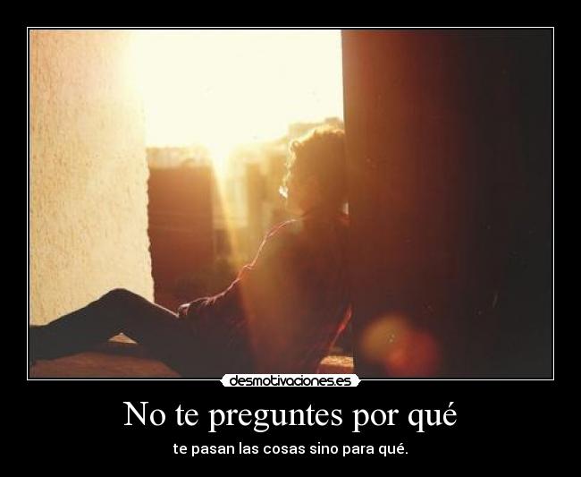 No te preguntes por qué -